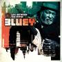 Bluey - Life Between The Notes