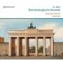 F. Koch / Neumeyer Consort - Brandenburgische Konzerte