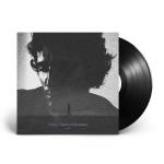 Tamino - Every Dawn's A Mountain ( LP)