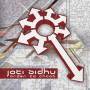 Joti Sidhu - Order To Chaos