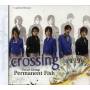 Permanent Fish - Crossing