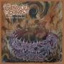 Bastard Grave - Vortex Of Disgust