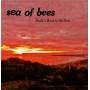 Sea Of Bees - Build A Boat To The Sun (LP+Download Code)
