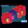 B. E. V. (BonificaEmilianaVeneta) - Variabile/Naturale