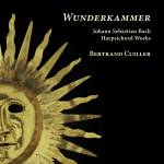 Bertrand Cuiller - Wunderkammer
