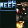 Reef - GLOW