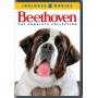 Beethoven: The Complete Collection (4pc) / (slip) - Beethoven: The Complete Collection [US-Version, Regio 1/A]