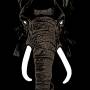 Palm Unit - Don't Buy Ivory Anymore!