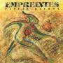 Pascal Baudot - Empreintes