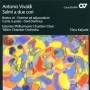 Kaljuste / Estonian Philharmonic Chamber C - Salmi A Due Cori