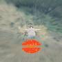Whyte Horses - Snowfalls
