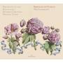 Noone / Orchestra Of The Renaissance - Missa In manus tuas
