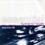 Various - Essential Electro House Selection Vol.8