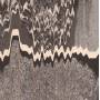 Wanda Group - Outer Alsation Ep