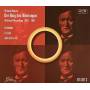 Richard Wagner - Der Ring Des Nibelungen Vol.2