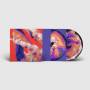 Bicep - Isles (Picture Disc 2LP+MP3)