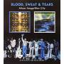 Blood Sweat & Tears - Mirror Image / New City