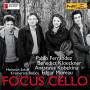 P. Ferrndez / B. Kloeckner / A. Kobekina / + - Focus Cello