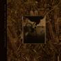 Pixies - Come On Pilgrim-It's Surfer Rosa