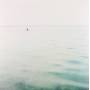 Blue Cranes - Swim