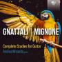 Andrea Monarda - Gnattali/Mignone:Complete Studies For Guitar