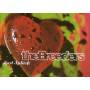 The Breeders - Last Splash - Standard LP