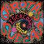 Garotas Suecas - Escaldante Banda