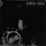 Songs:Ohia - Songs:Ohia