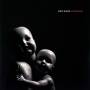 Dan Weiss - Starebaby