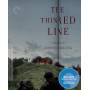 Criterion Collection: Thin Red Line / (ws Spec) - Thin Red Line/bd [US-Version, Regio 1/A]