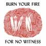 Angel Olsen - Burn Your Fire for no Witness