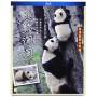 Panda Tao Tao / (hk) - Panda Tao Tao [US-Version, Regio 1/A]