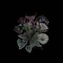 Nhor - Wildflowers (2lp-gtf/180 Gr/black+poster)