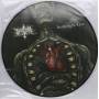 Draugar - Weathering The Curse