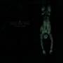Folge Dem Wind - To Summon Twilight