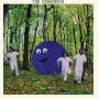 The Chinchees - The Chinchees
