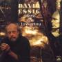 David Essig - Into The Lowering Sky