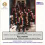 Mercelli / Orchestra Bm Maschio - Fltenkonzerte 1&2