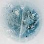 Manu Delago - Snow from Yesterday