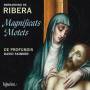 Skinner / De Profundis - Magnificat/Motetten