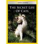 Secret Life Of Cats / (mod Ntsc) - Secret Life Of Cats [Regio free (0)]