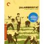 Criterion Collection: Alambrista / (ws Dts) - Alambrista/bd [US-Version, Regio 1]