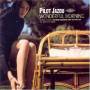 Pilot Jazou - Wonderful Morning
