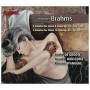 J. Brahms - Brahms Sonatas For Violin/Cello