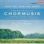 Absil / Debussy / Hindemith / Poulenc / Ravel - French Choral Music