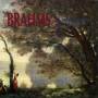 J. Brahms - Piano Works