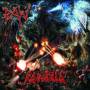 Raw - Rawzilla
