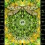 V / a - Spring By Dj Zen