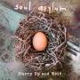 Soul Asylum - Hurry Up And Wait (Ltd.Black Vinyl Gatefold 2LP)