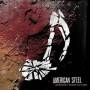 American Steel - Destroy their future
